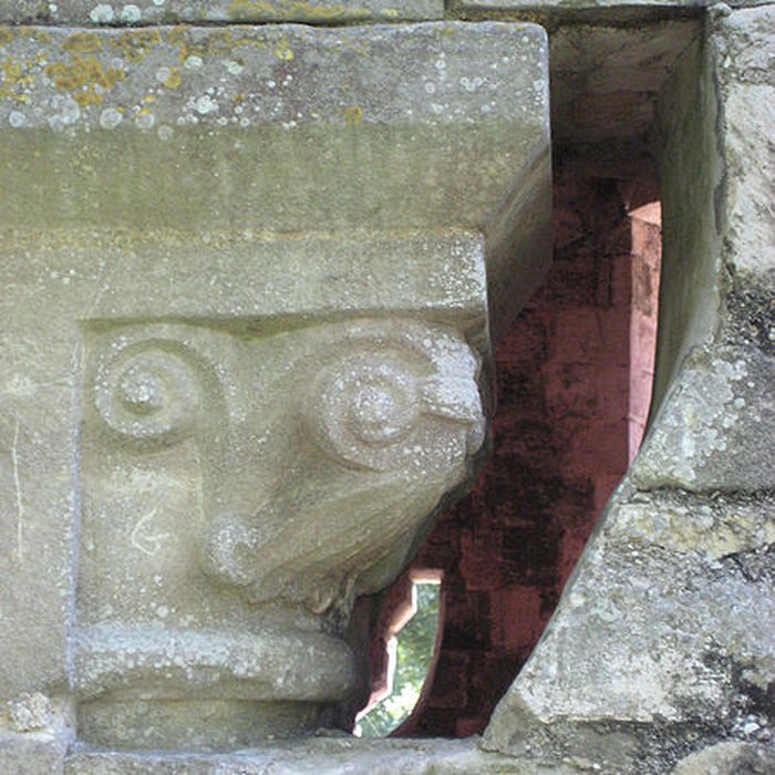 Photo de Église Saint-Pierre de Thaon