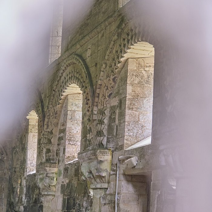 Photo de Église Saint-Pierre de Thaon