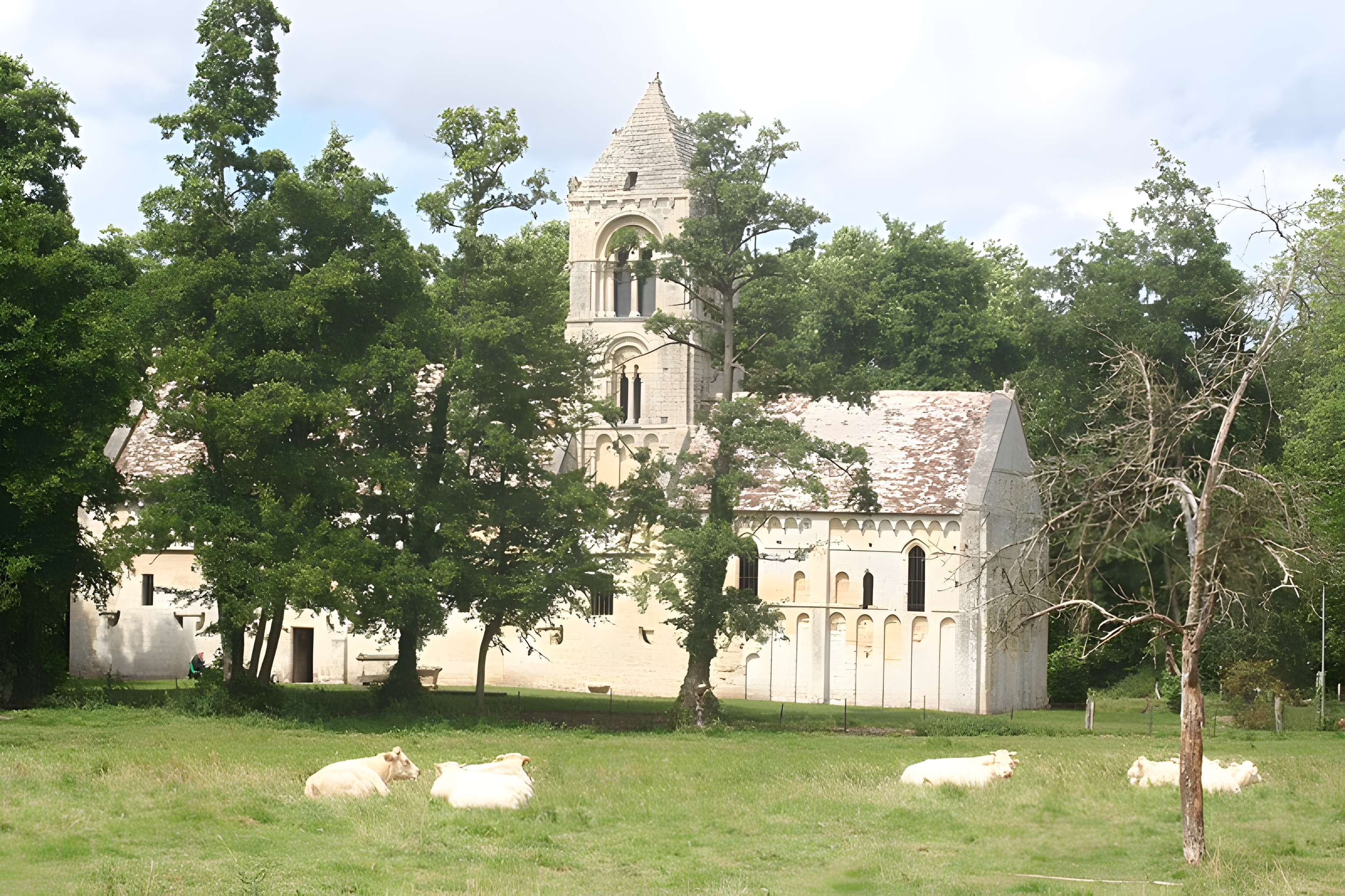 Église Saint-Pierre de Thaon