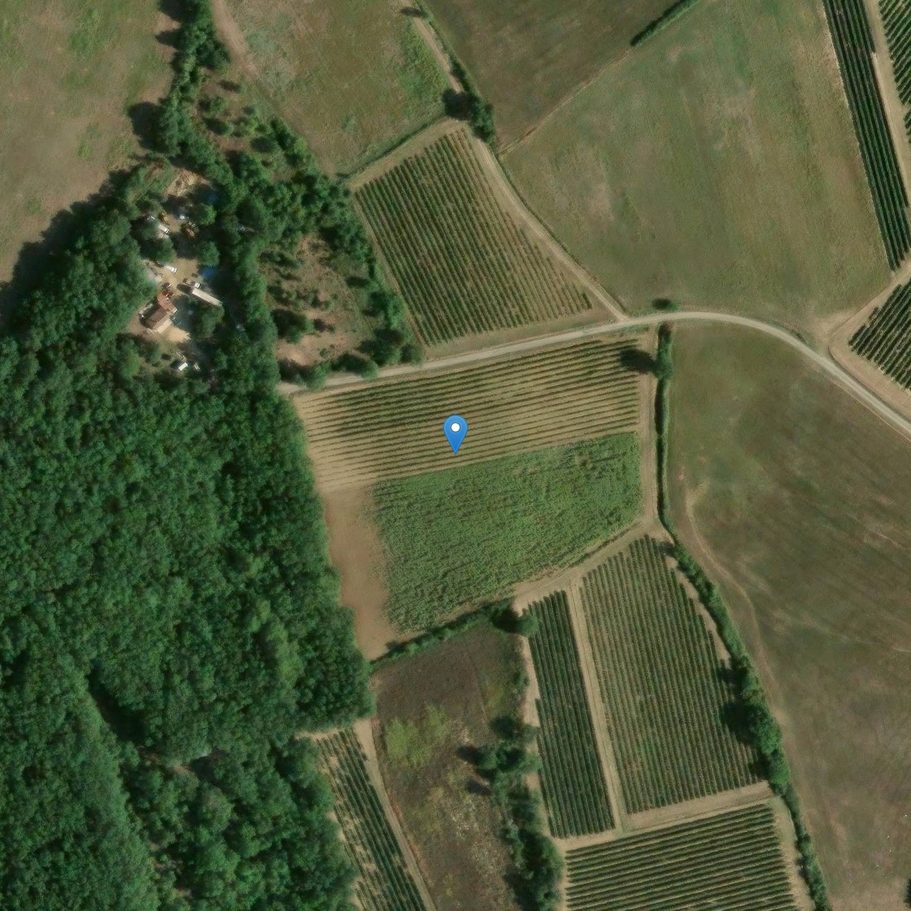 Photo de Castello di Clavières