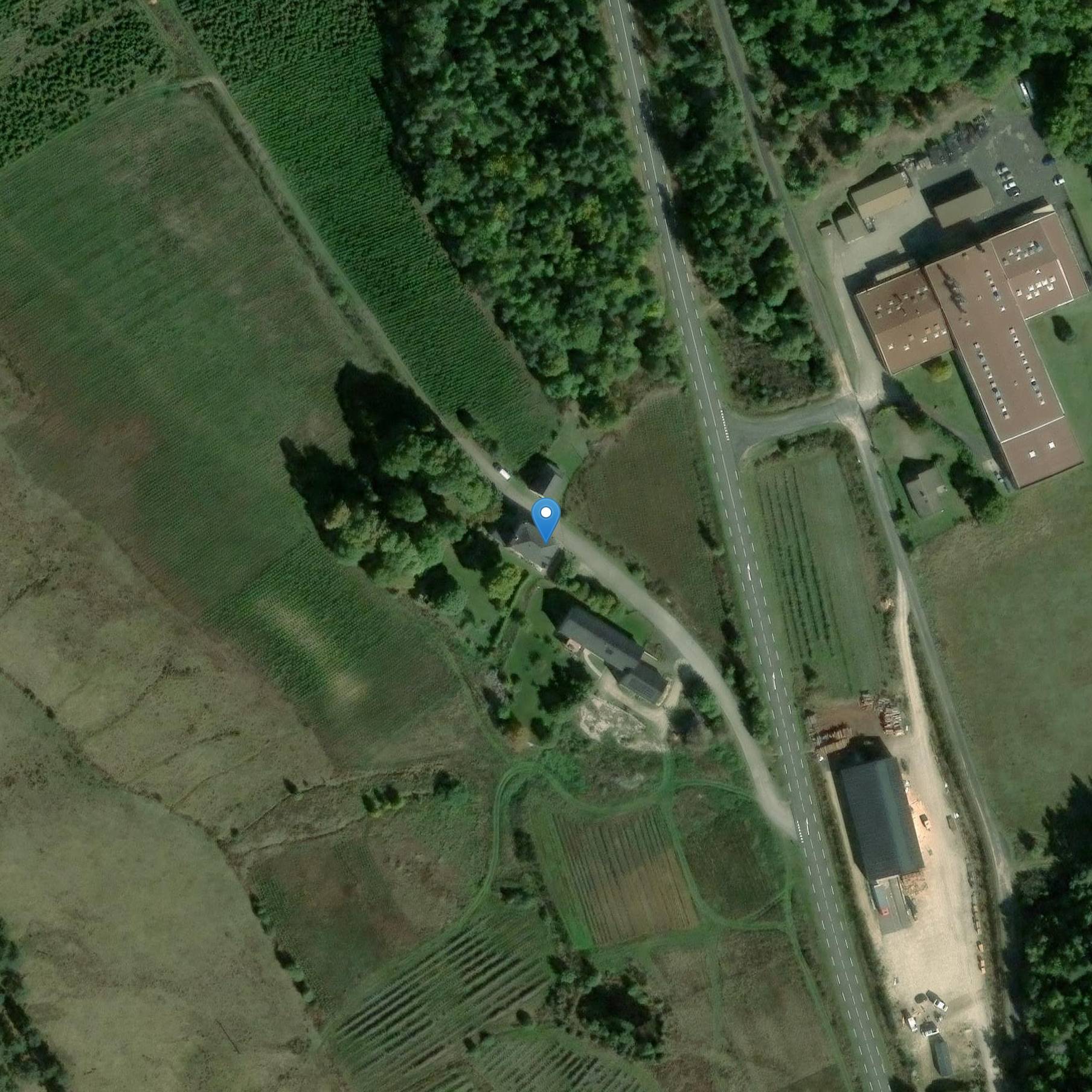 Photo de Manor del grano