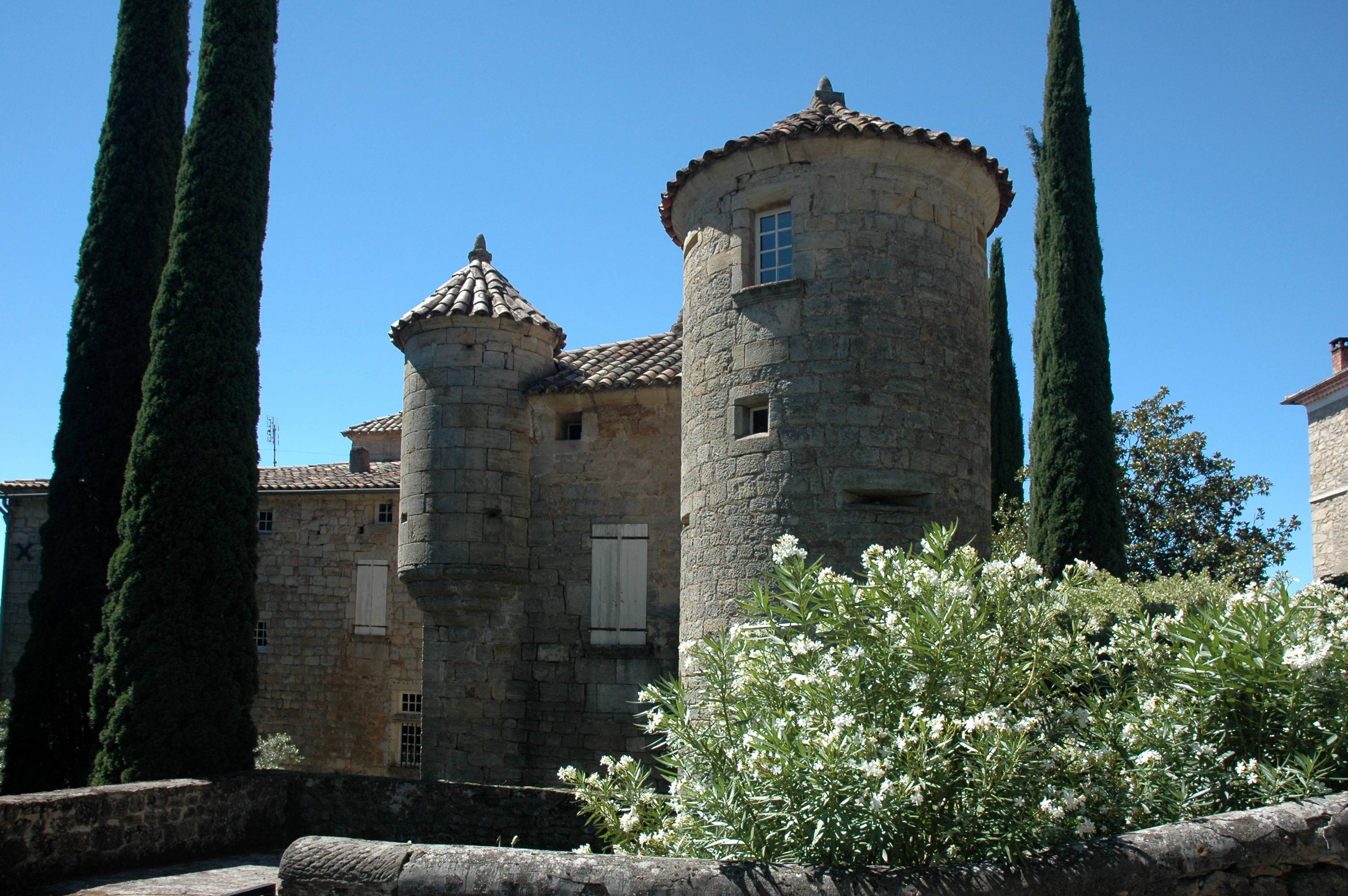 Photo de Château de Lamothe