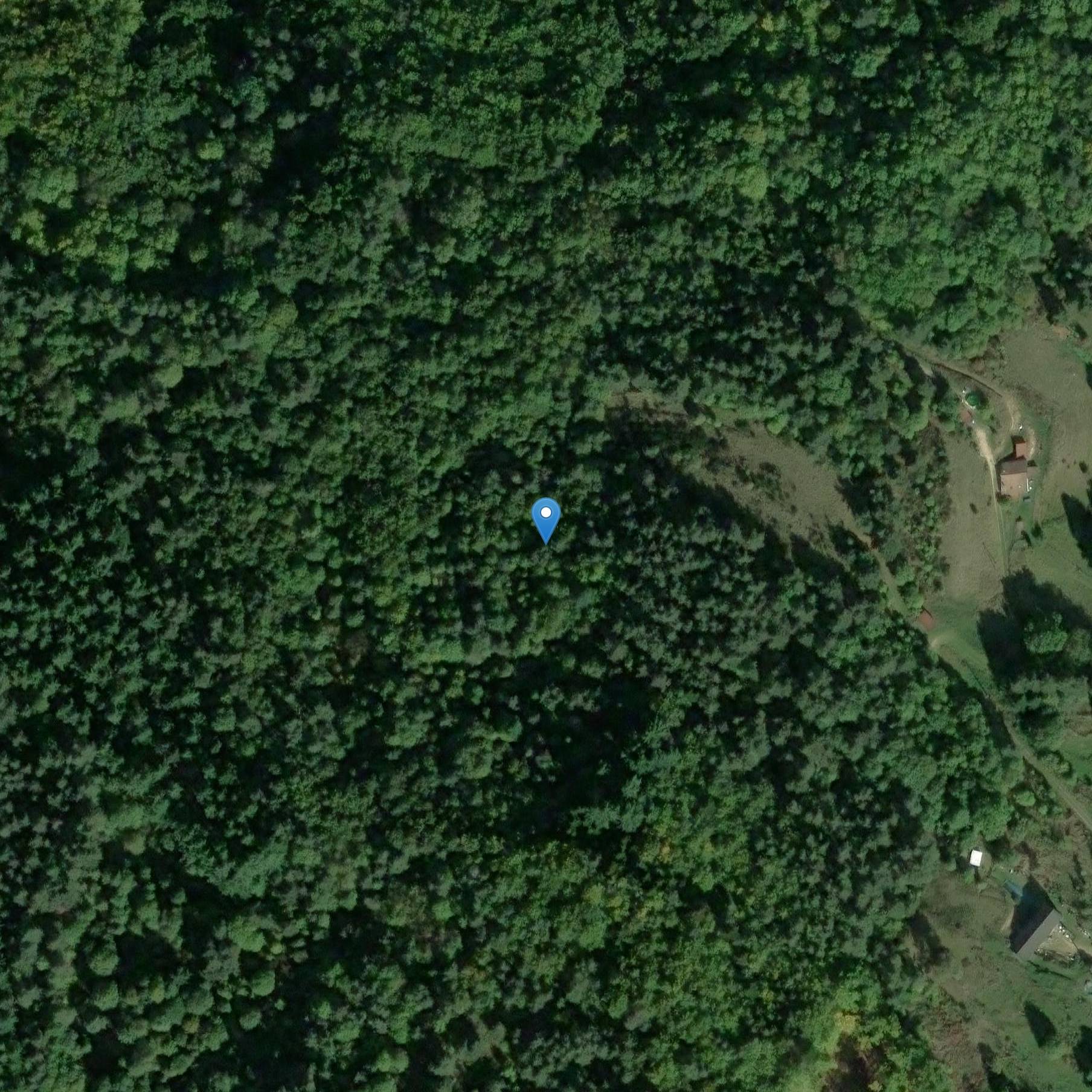 Photo de Château de Lemps