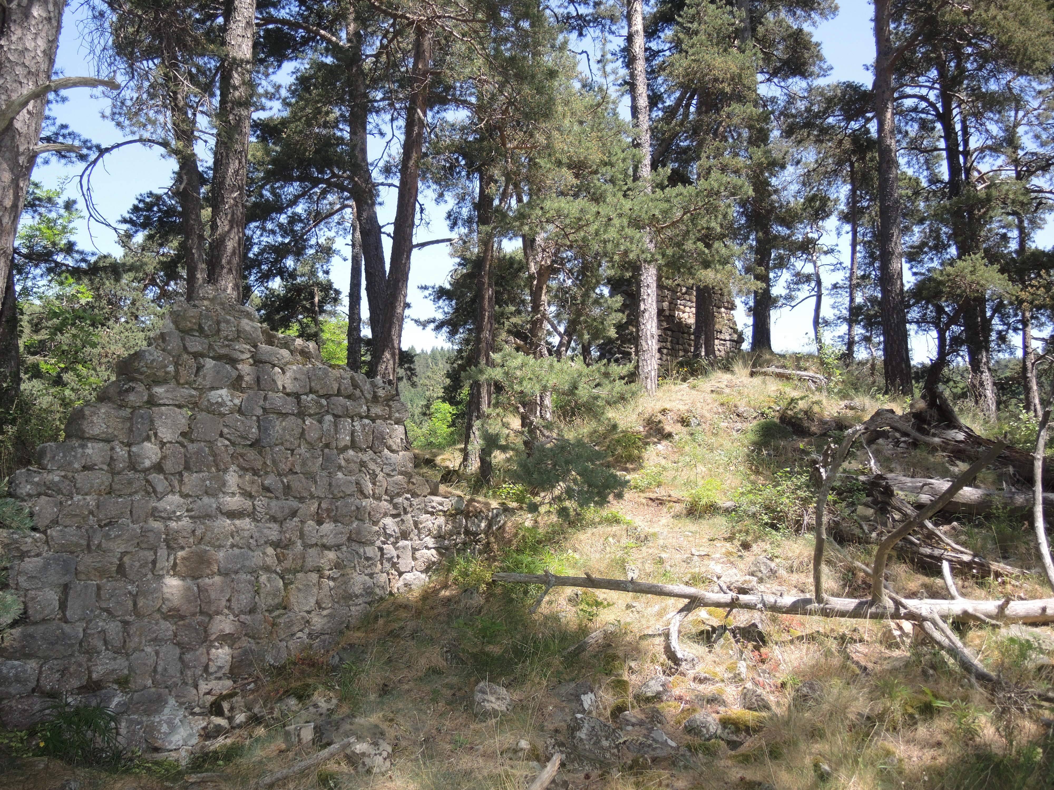 Photo de Château de Mahun