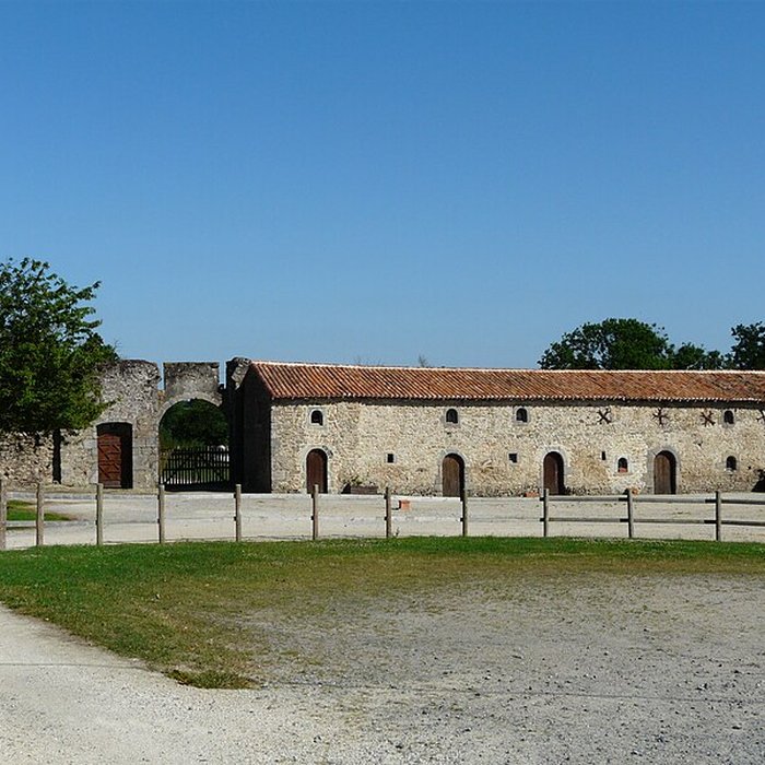 Photo de Château de Tennessus