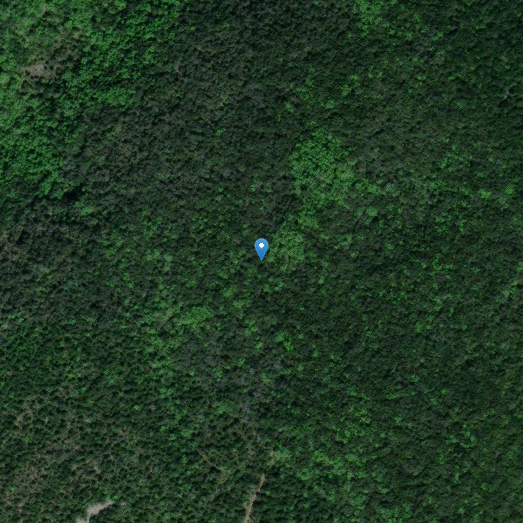 Photo de Castello di Vinsas