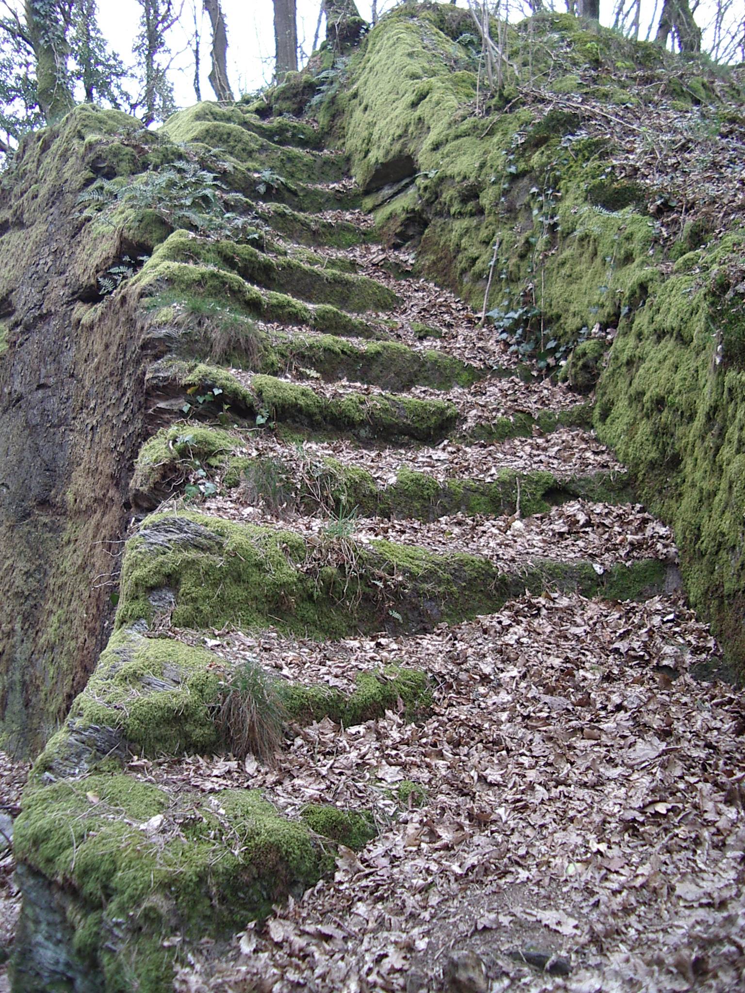 Photo de Château de Linchamps