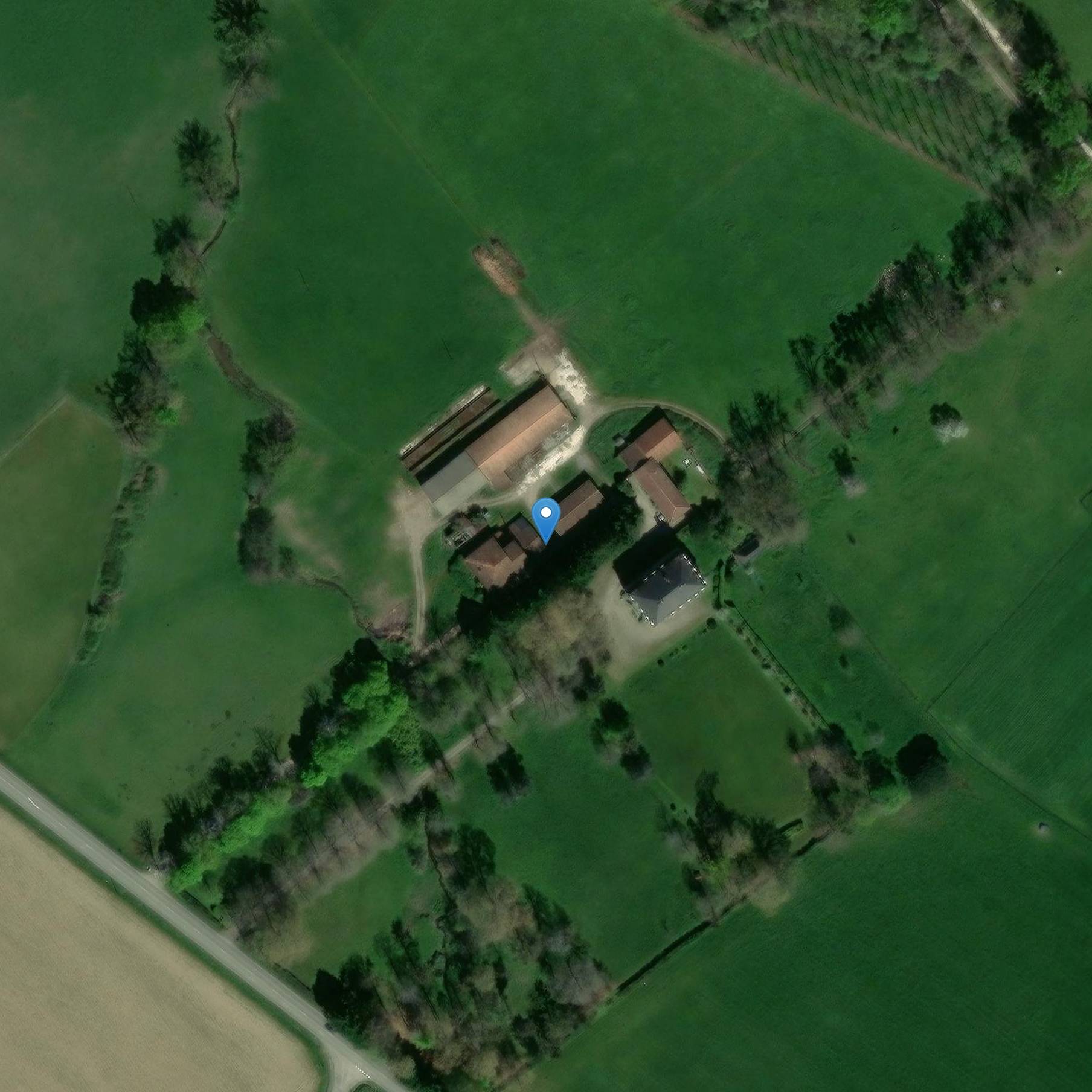 Photo de Castello di Bags