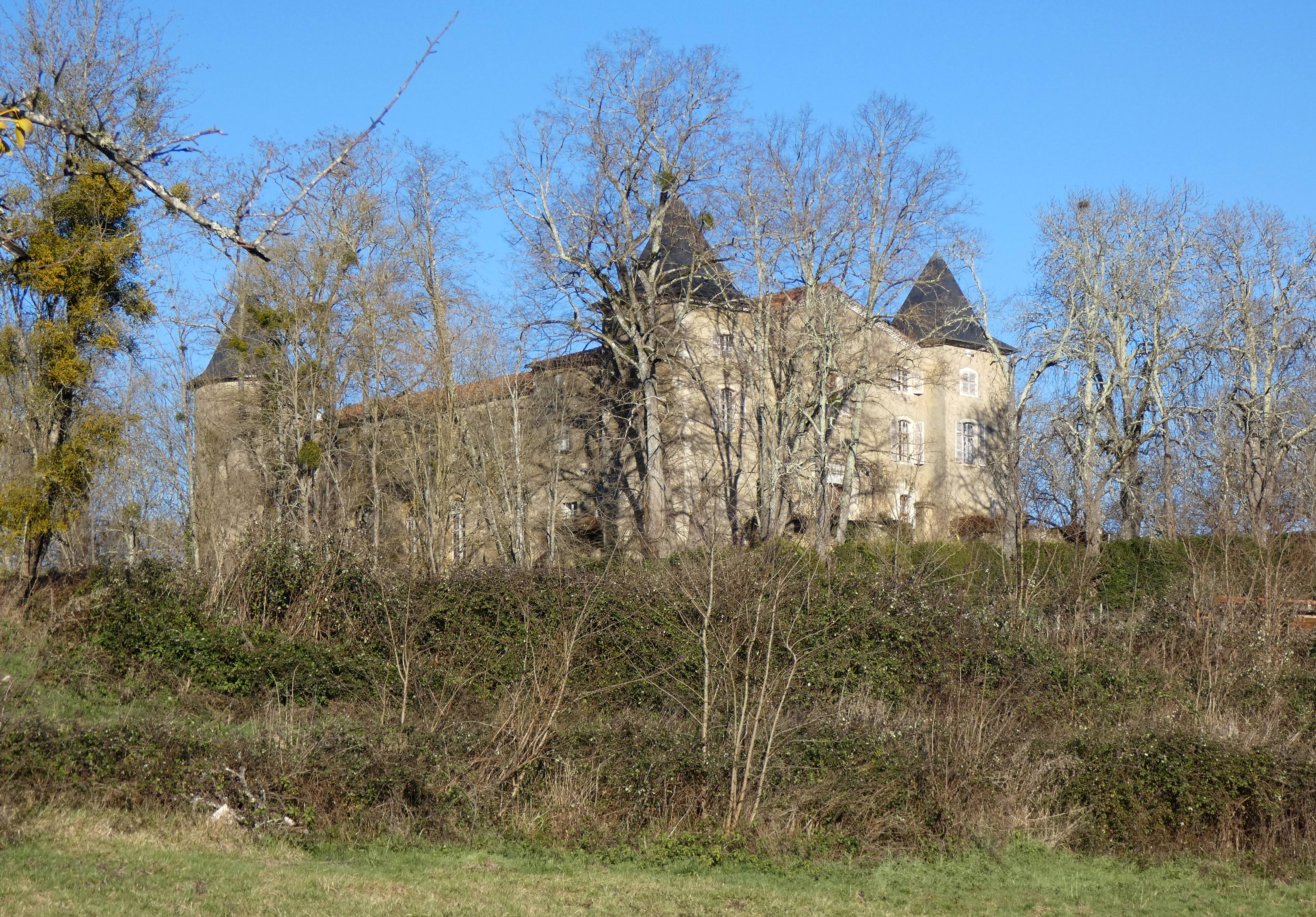 Photo de Château de Castelbon