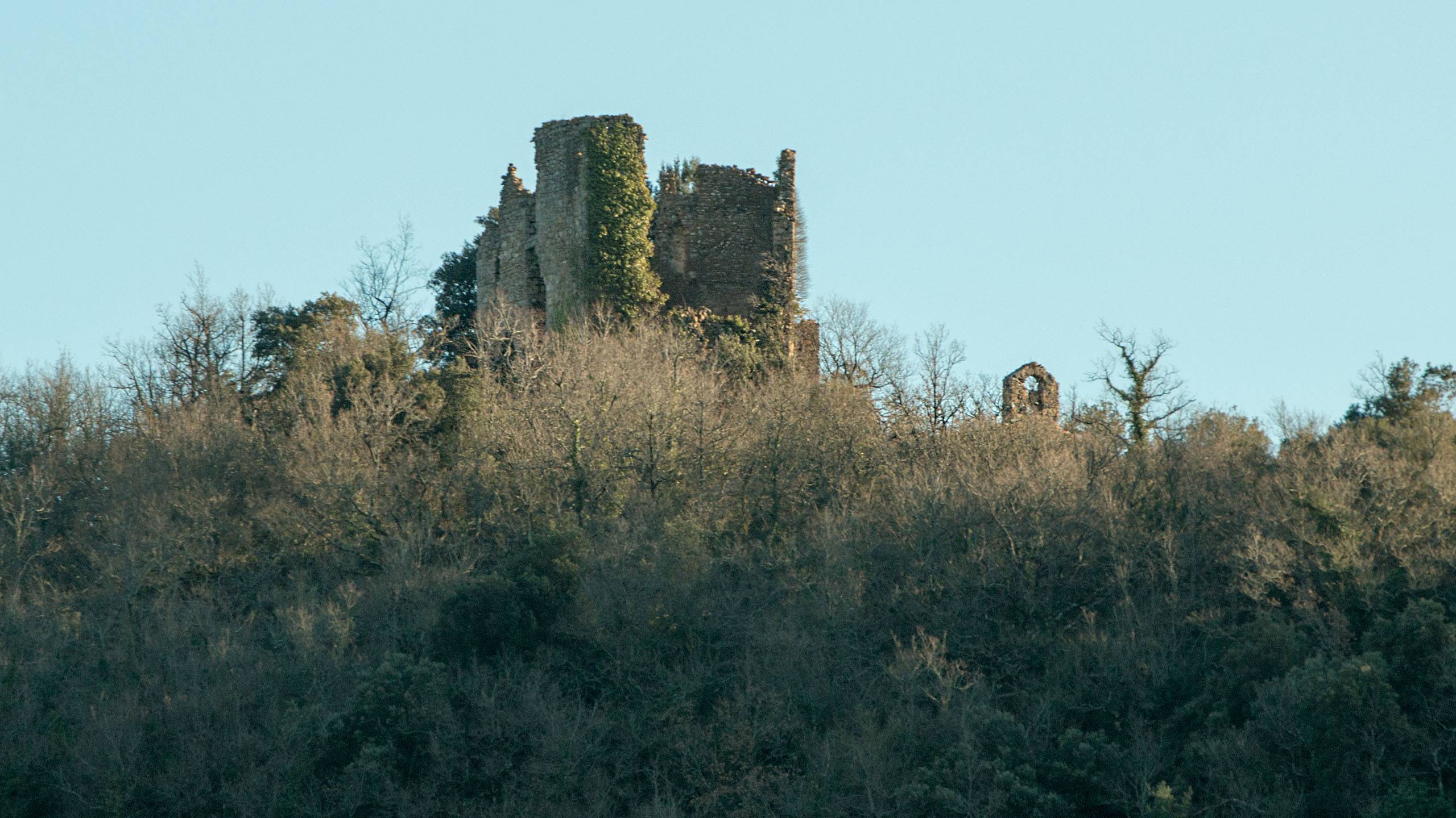 Photo de Château de Belcastel