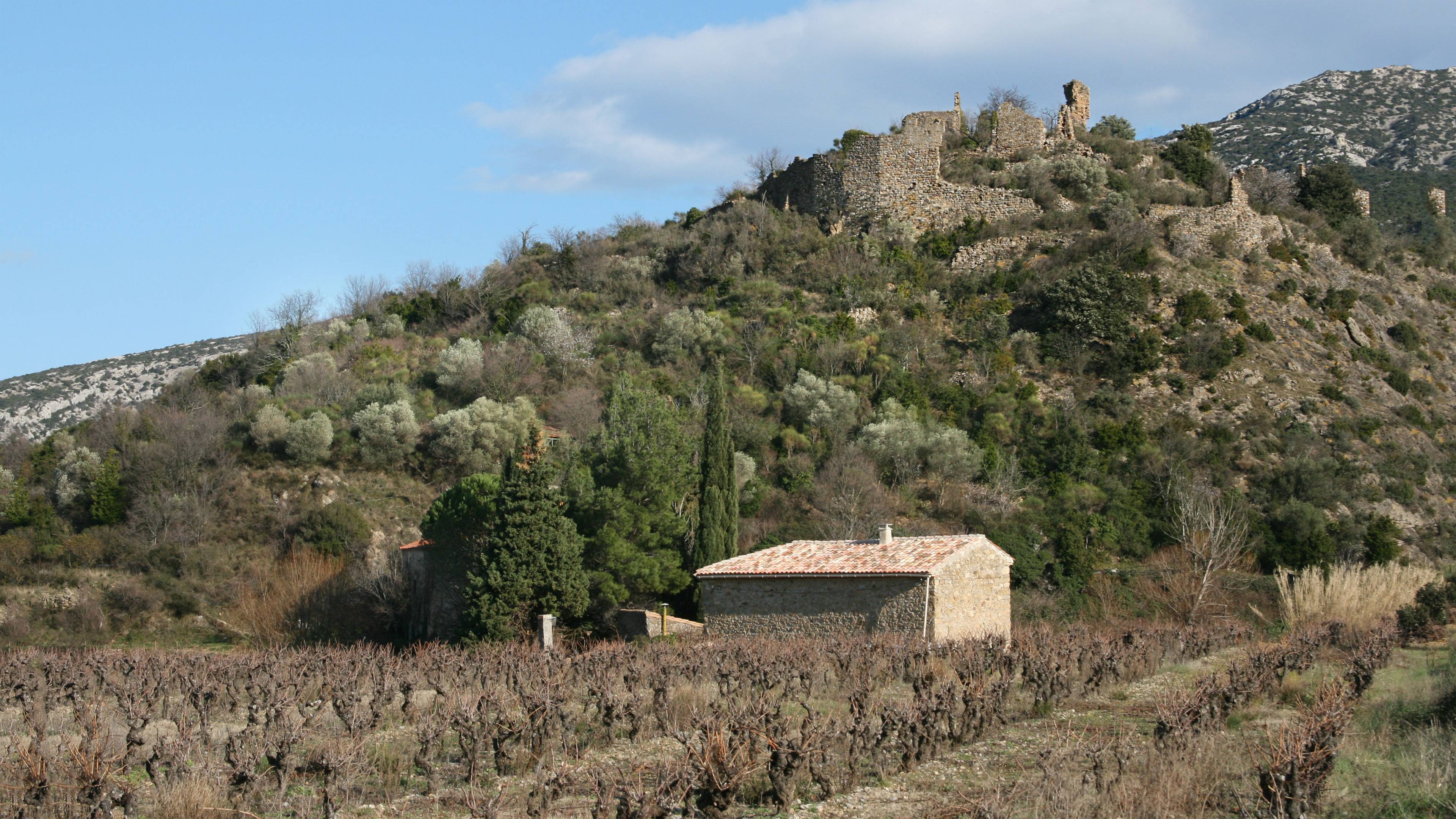 Photo de Château de Castelmaure