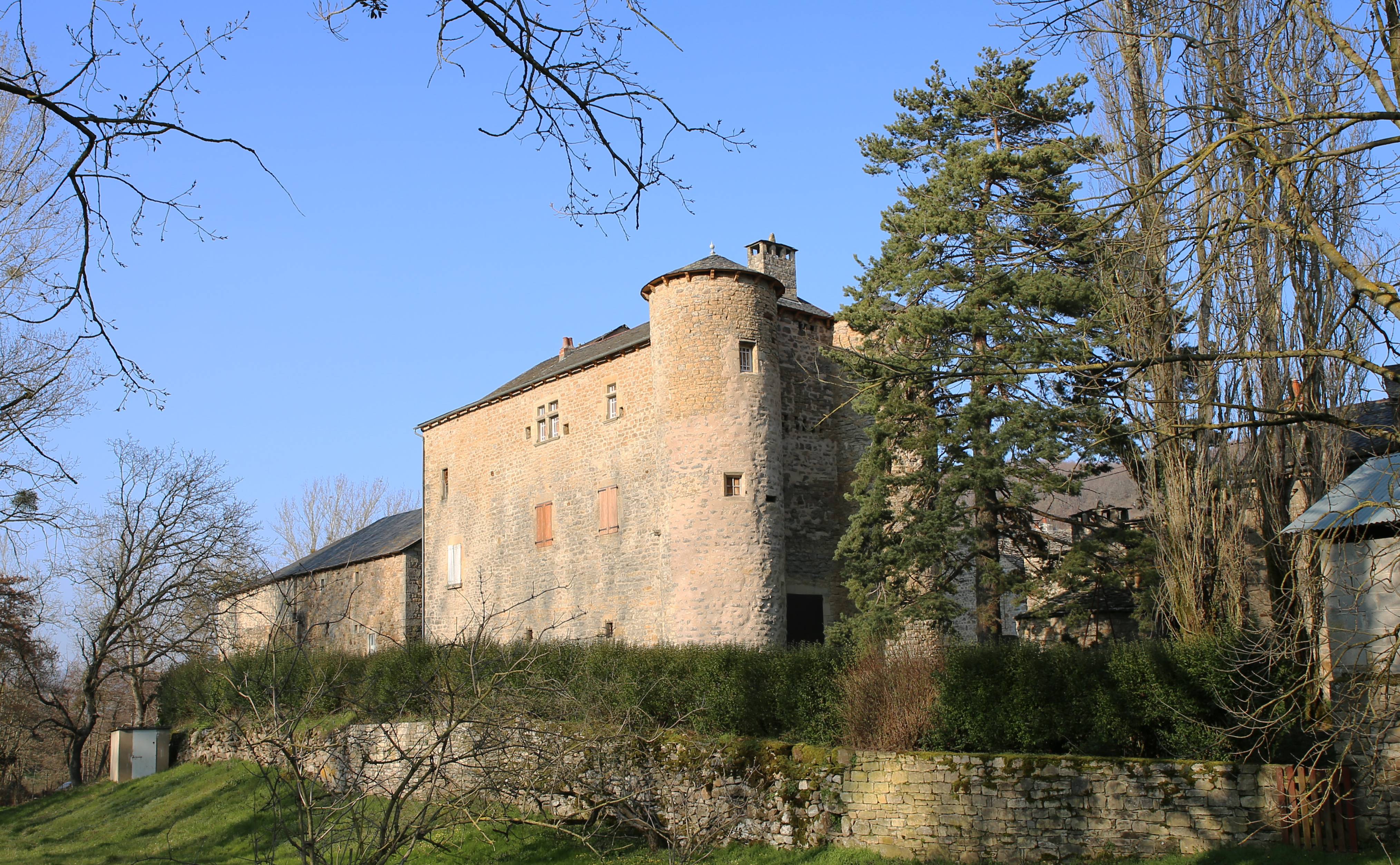 Photo de Château du Méjanel