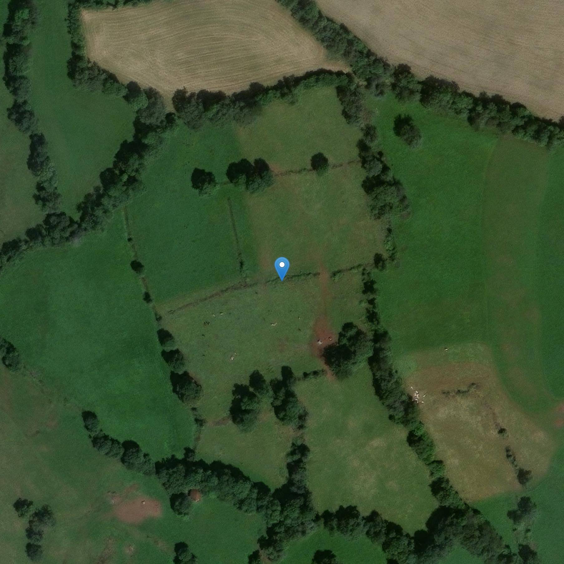 Photo de Presidentes de Albo