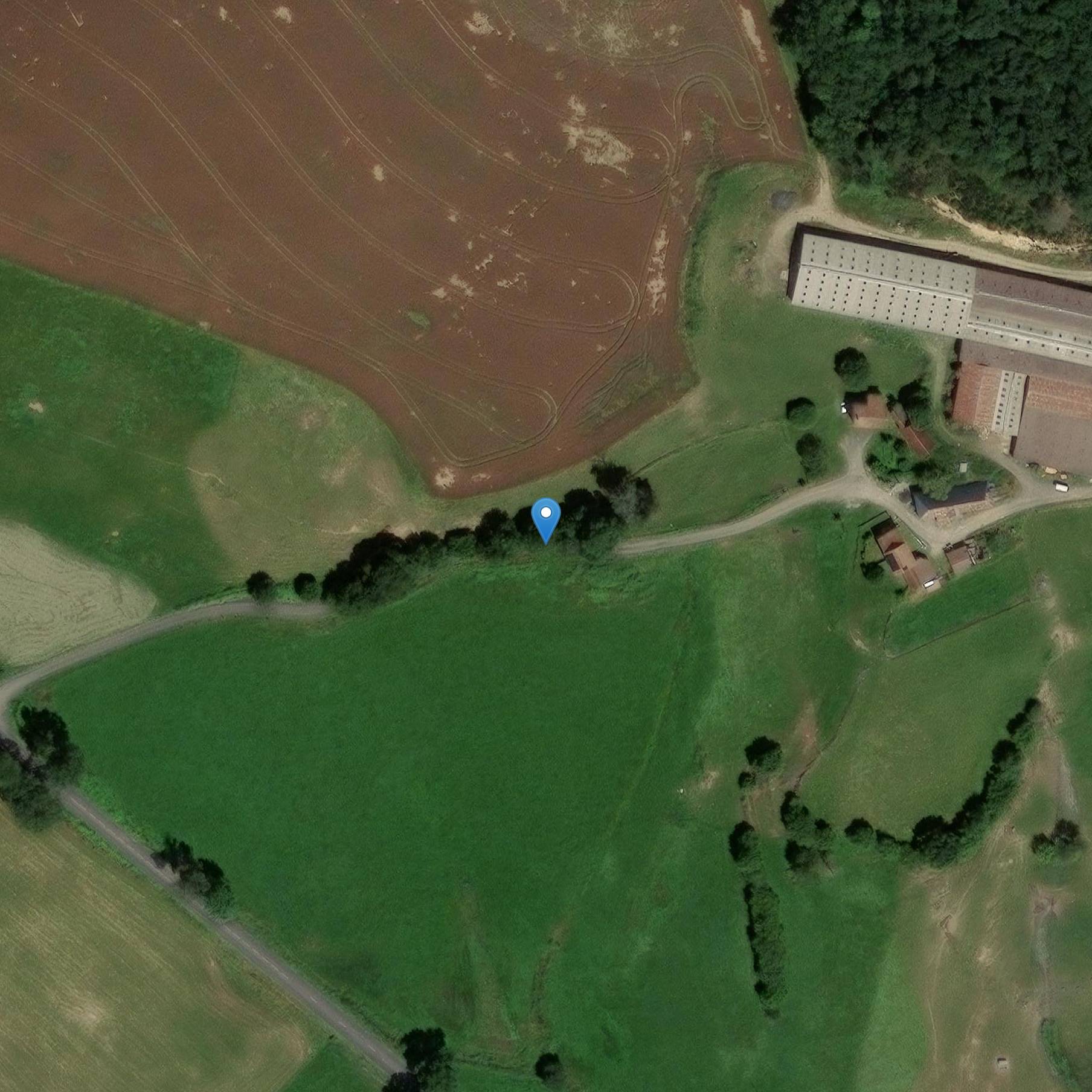 Photo de 布兰古斯城堡