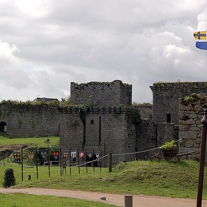 Photo de Château de Tiffauges