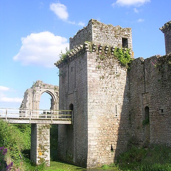 Photo de Château de Tiffauges
