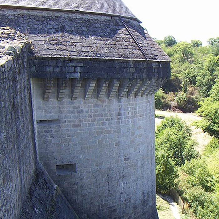 Photo de Château de Tiffauges