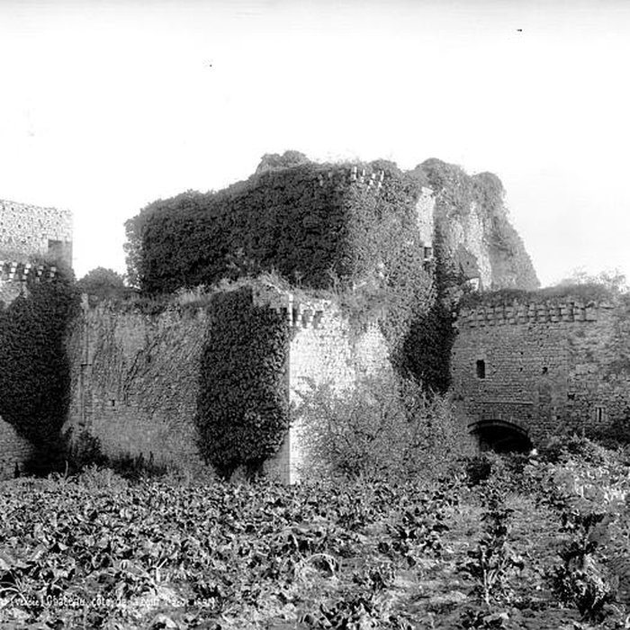Photo de Château de Tiffauges