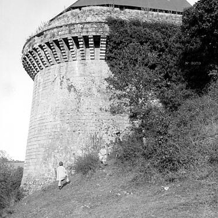 Photo de Château de Tiffauges