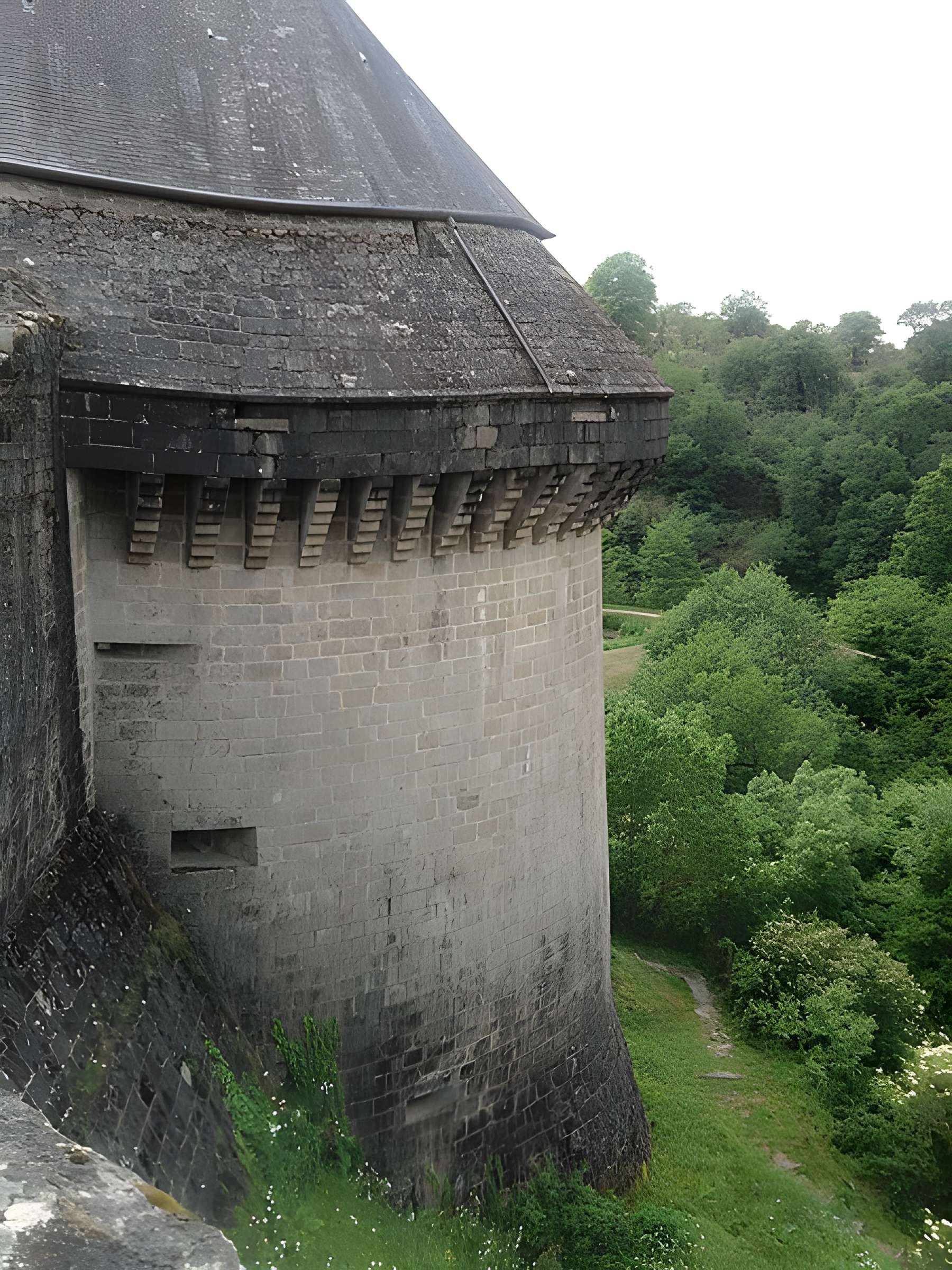 Château de Tiffauges