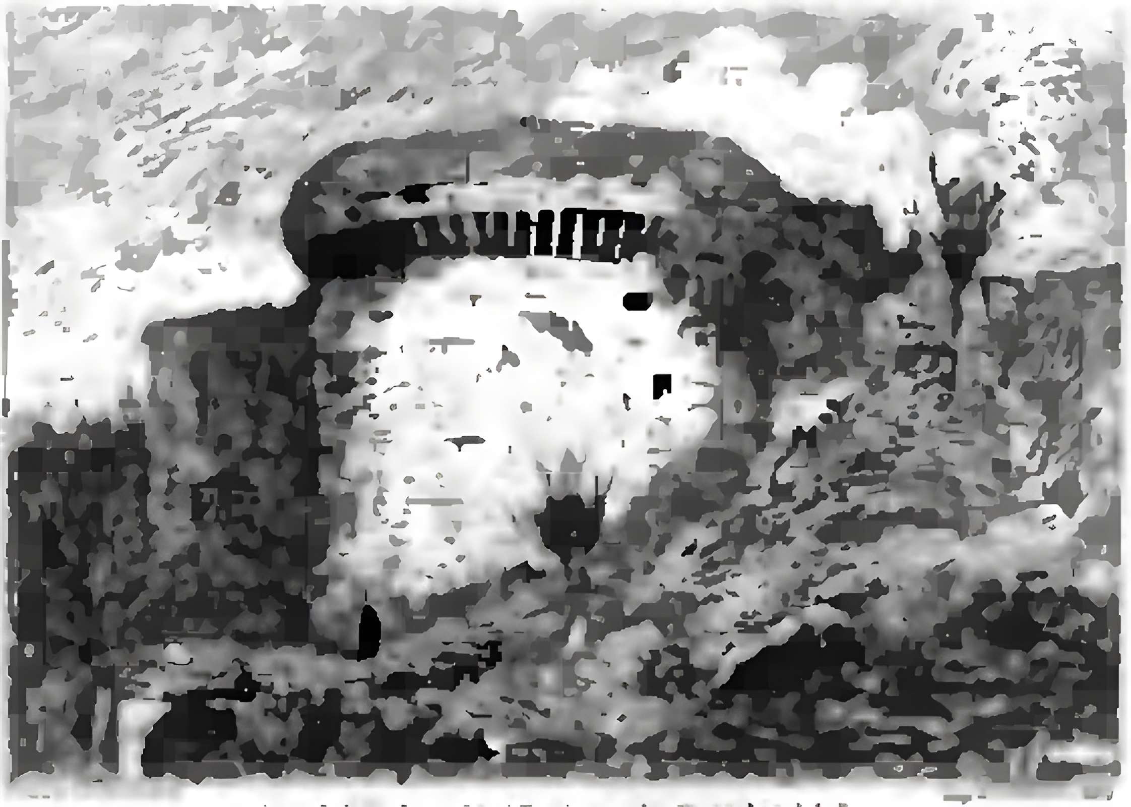 Château de Tiffauges