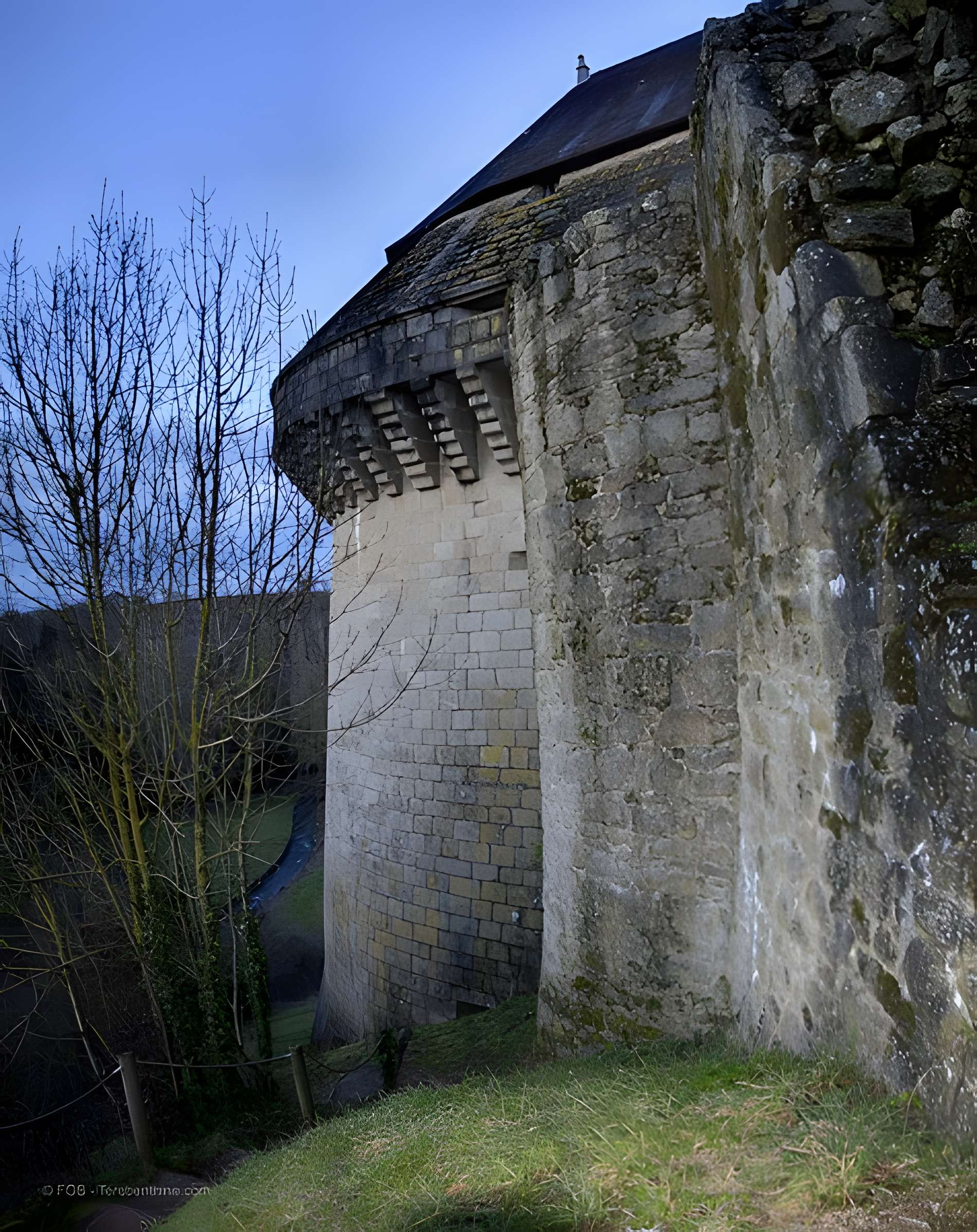 Château de Tiffauges