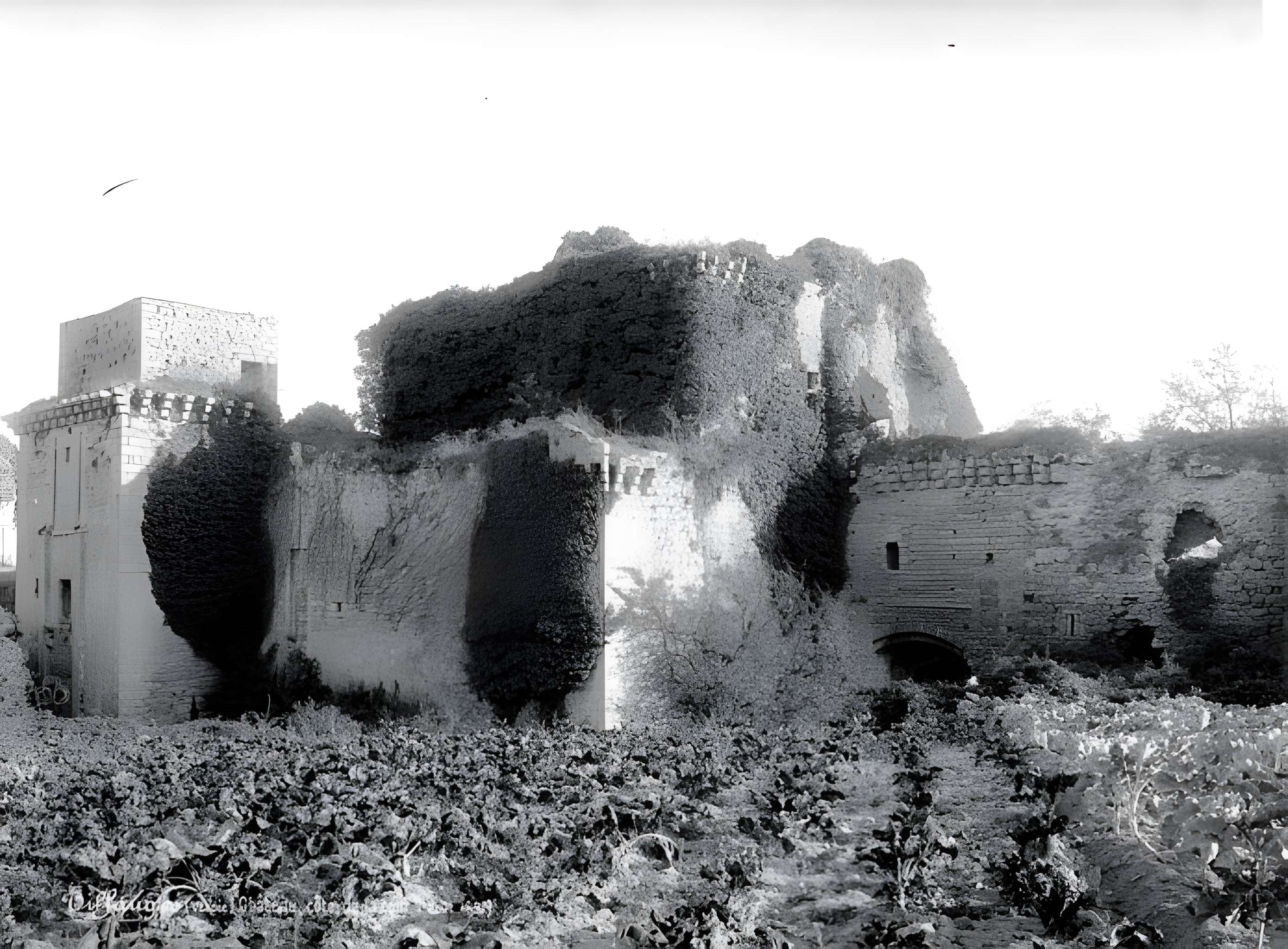 Château de Tiffauges