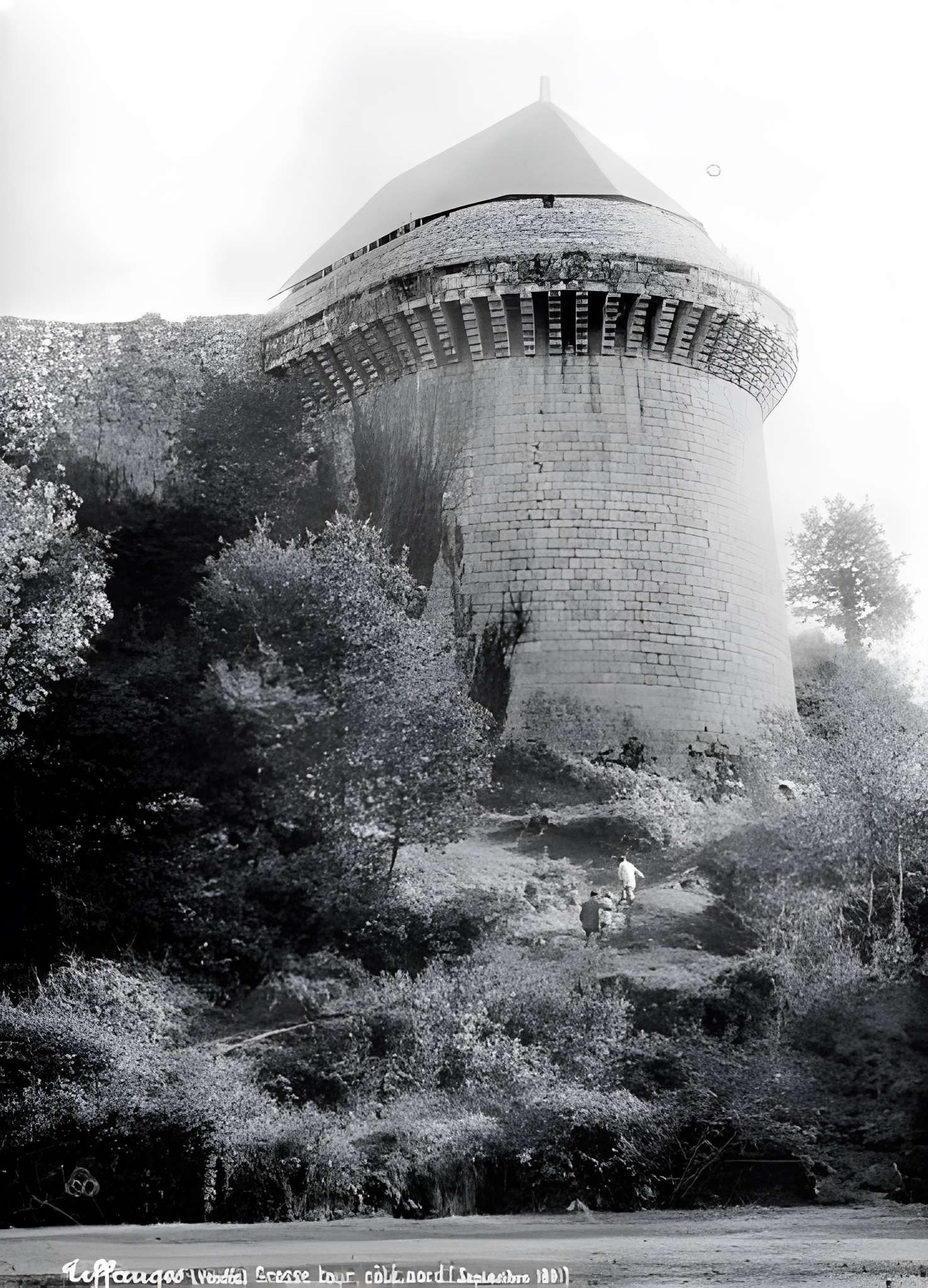 Château de Tiffauges