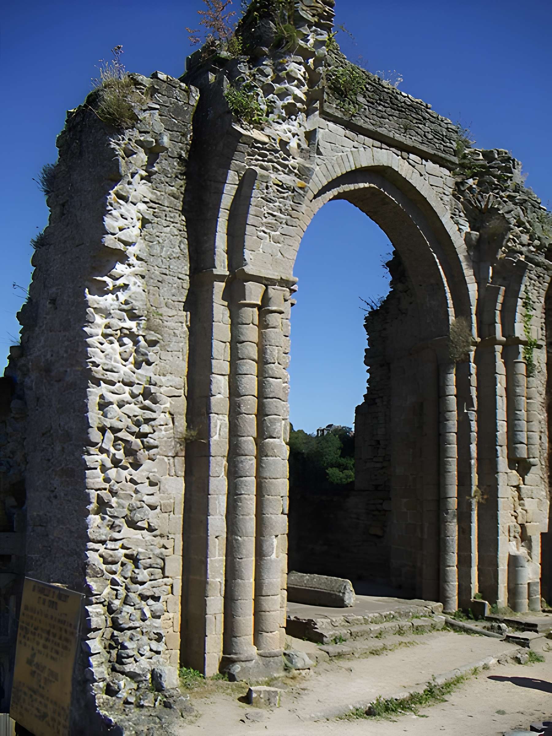 Château de Tiffauges