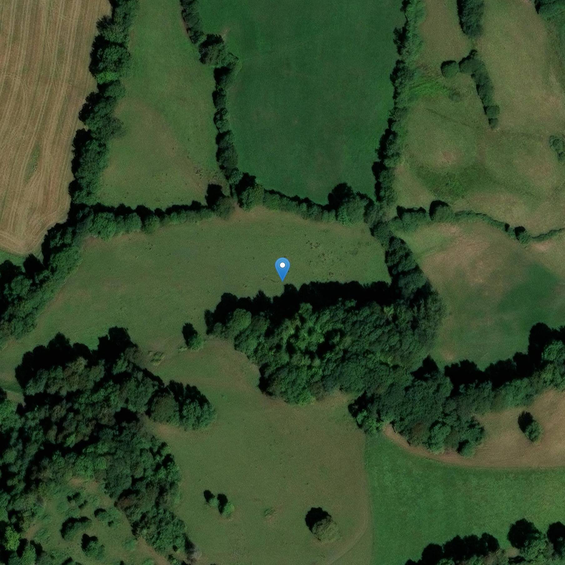 Photo de Castello di Estang