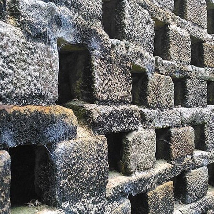 Photo de Château de Tocqueville