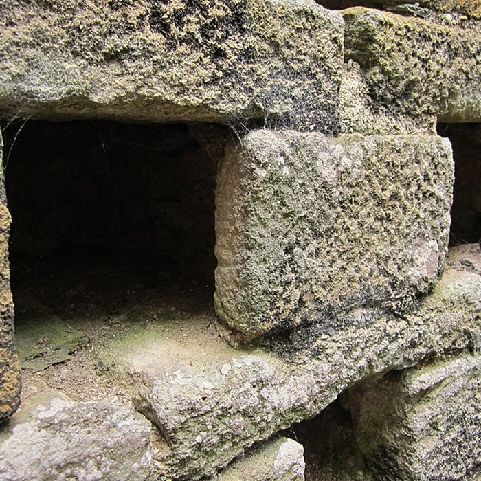 Photo de Château de Tocqueville