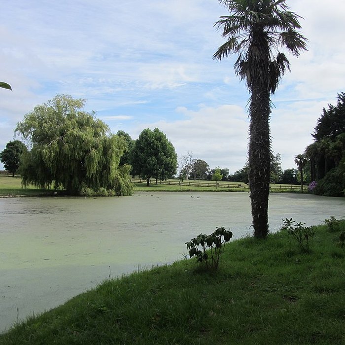 Photo de Château de Tocqueville