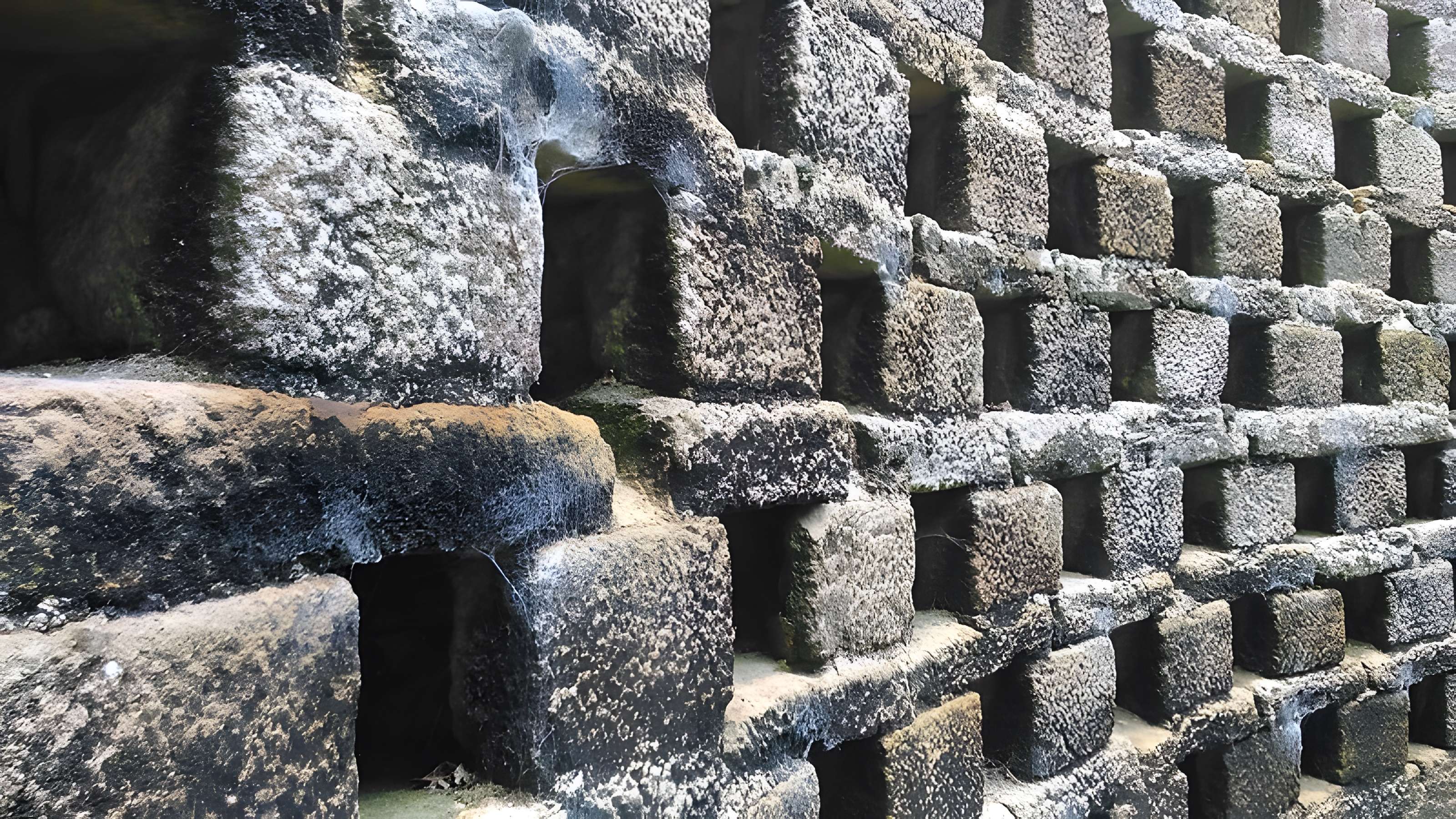 Château de Tocqueville