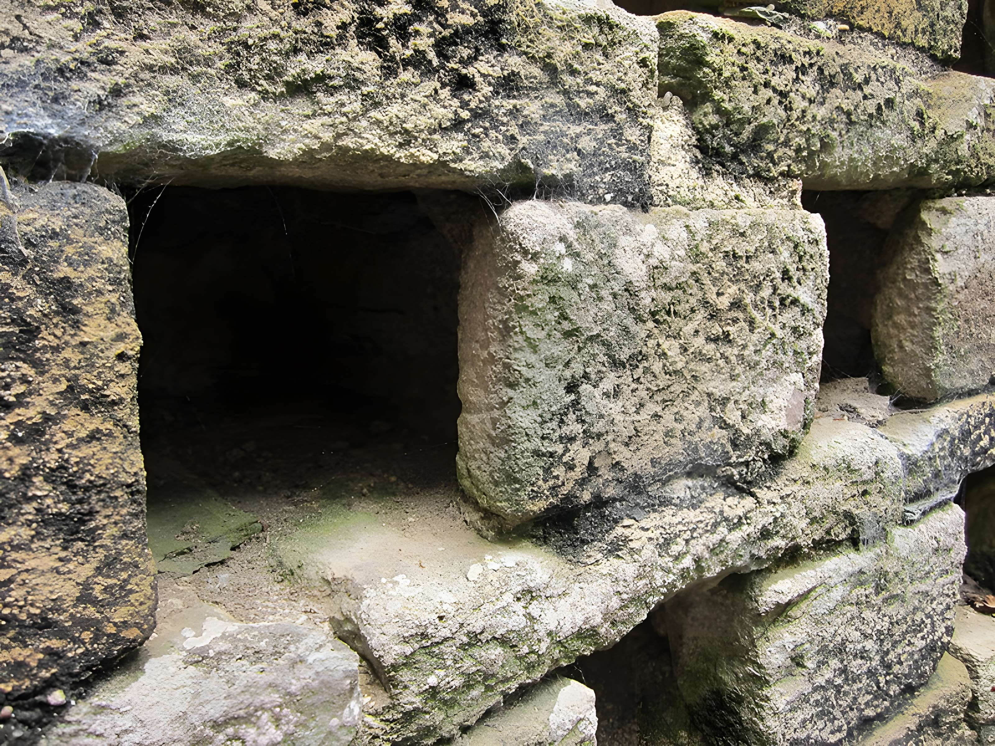 Château de Tocqueville