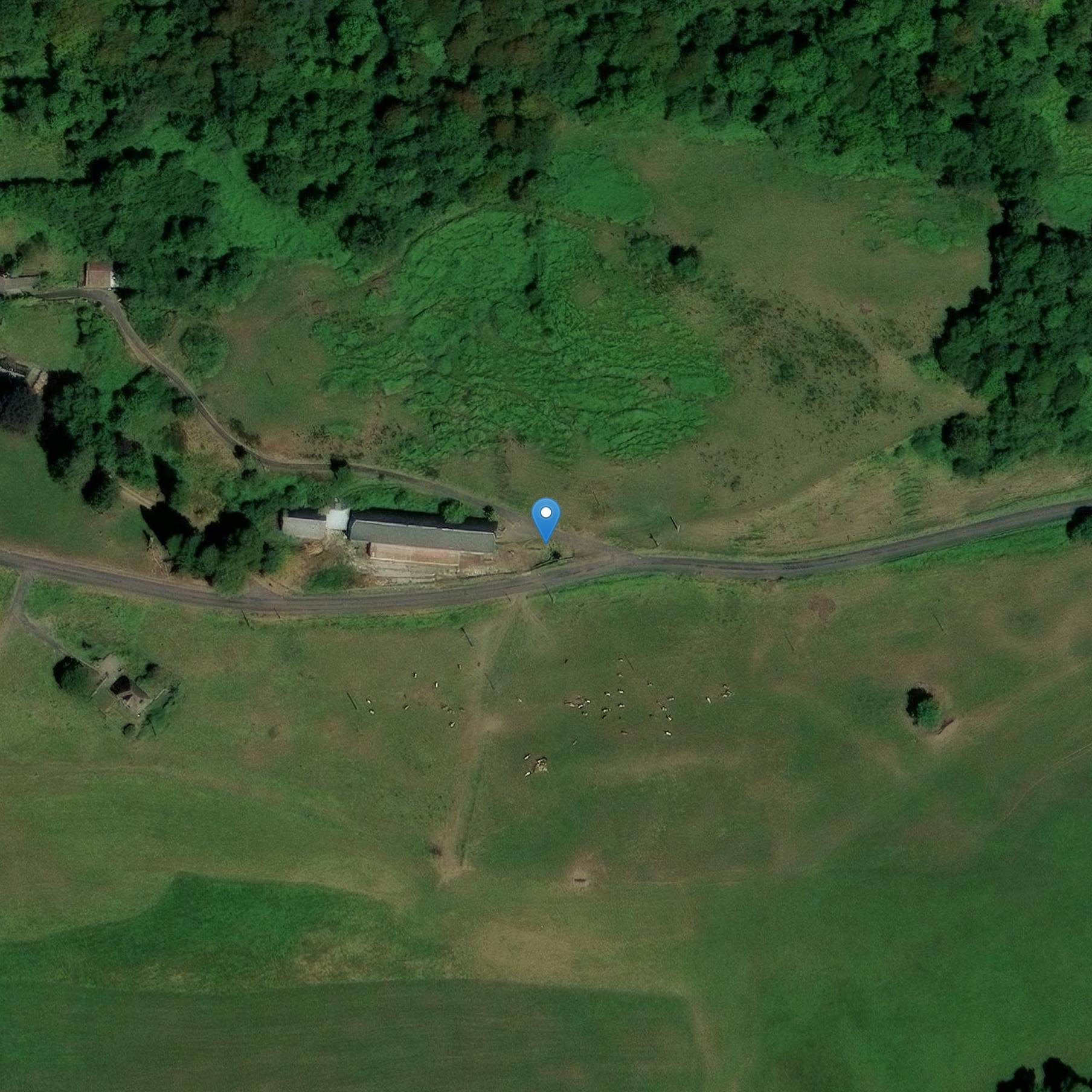 Photo de Château de Palmont