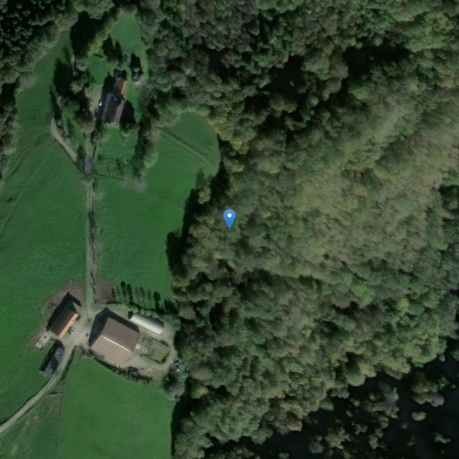 Photo de Castello di Rieu