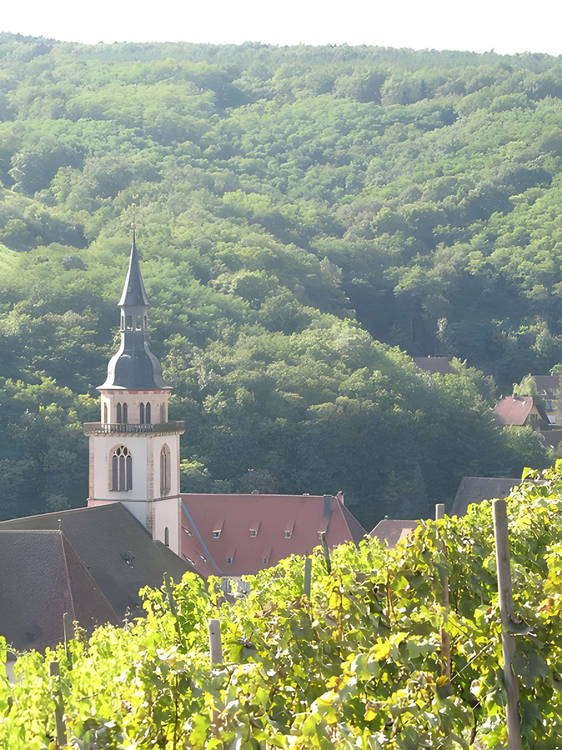 Église Saint-Pierre-et-Paul d'Andlau