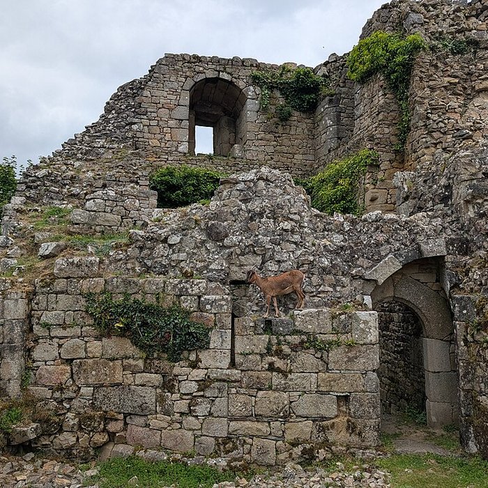 Photo de Château de Tonquédec