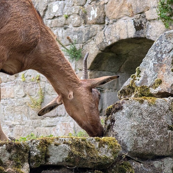 Photo de Château de Tonquédec