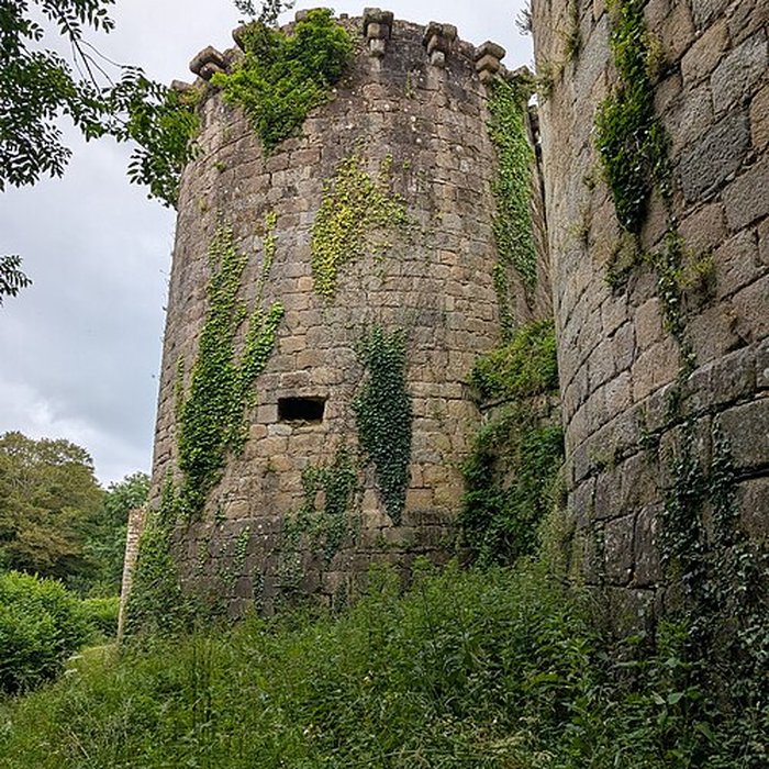 Photo de Château de Tonquédec