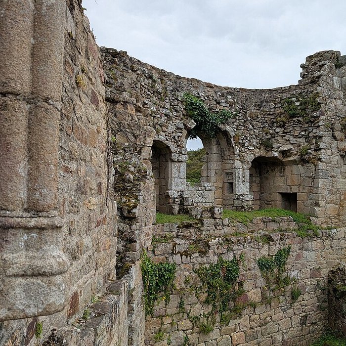Photo de Château de Tonquédec