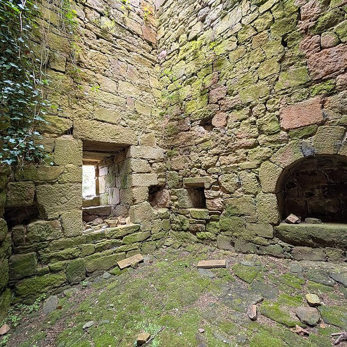 Photo de Château de Tonquédec