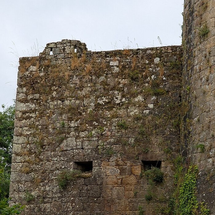 Photo de Château de Tonquédec