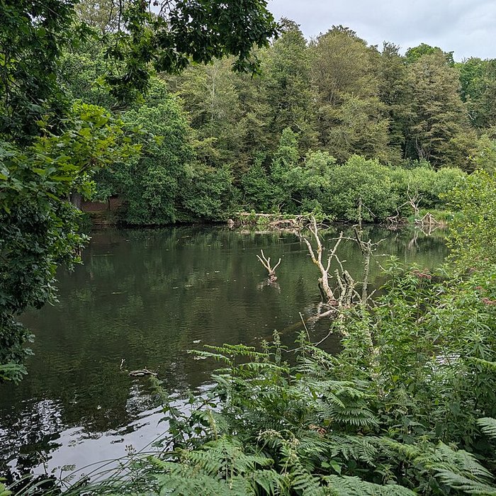 Photo de Château de Tonquédec