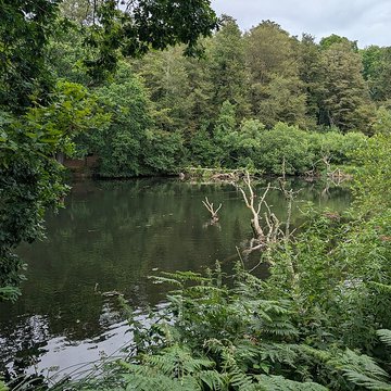 Château de Tonquédec