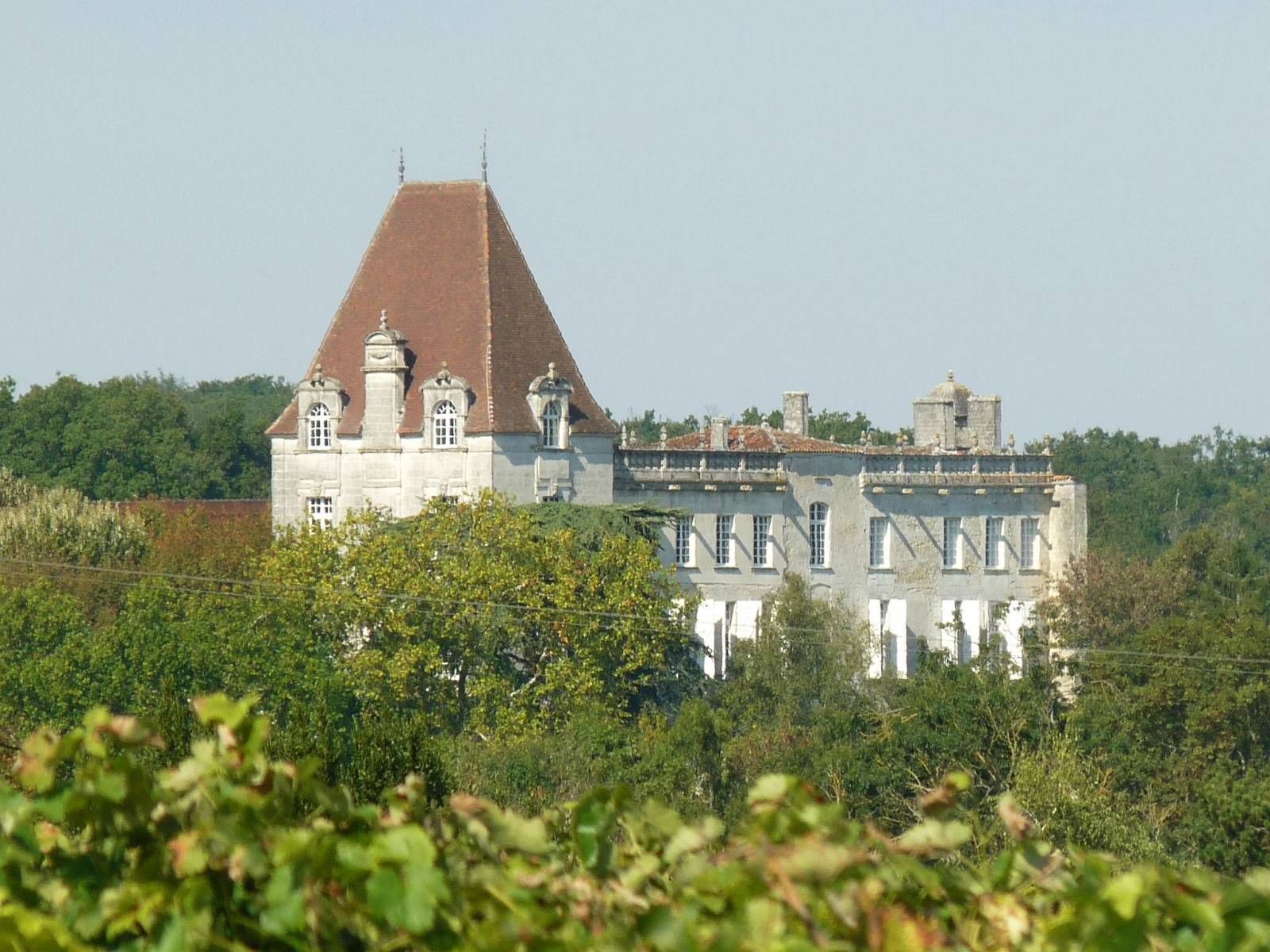 Photo de Château de Bourg-Charente