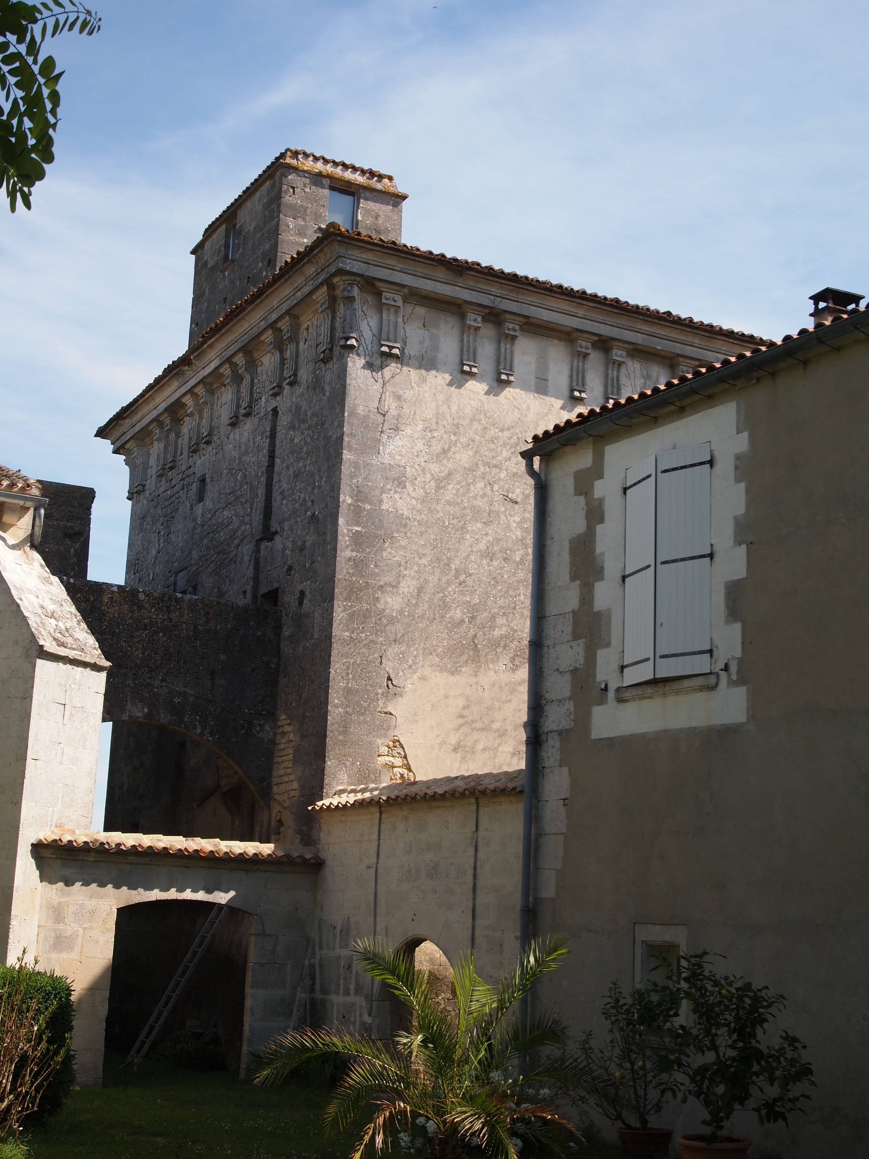 Photo de Château de Maillou