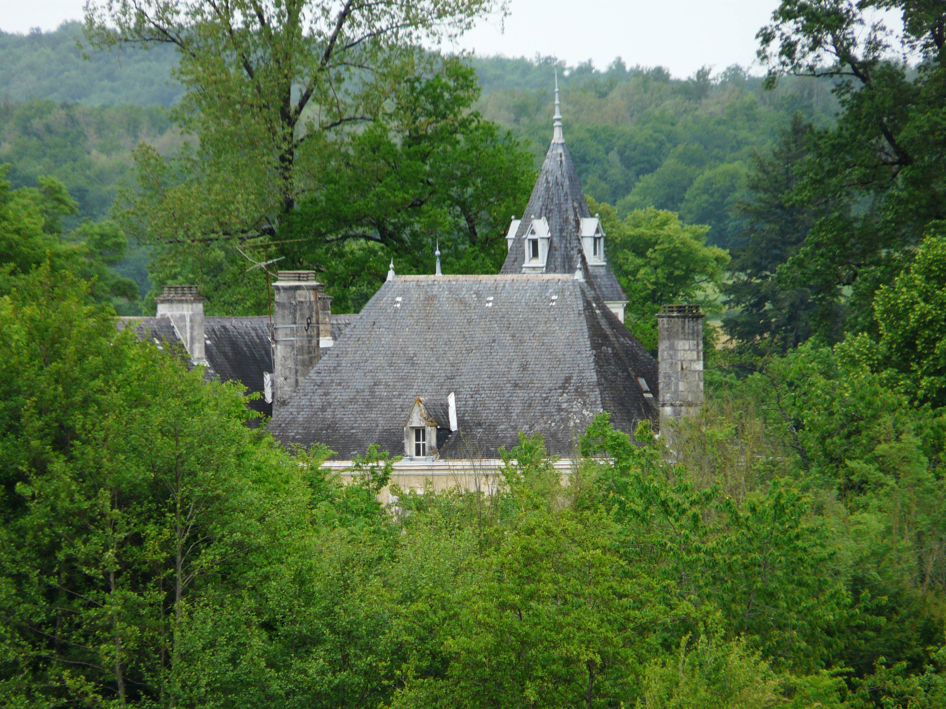Photo de Château de la Petite Mothe