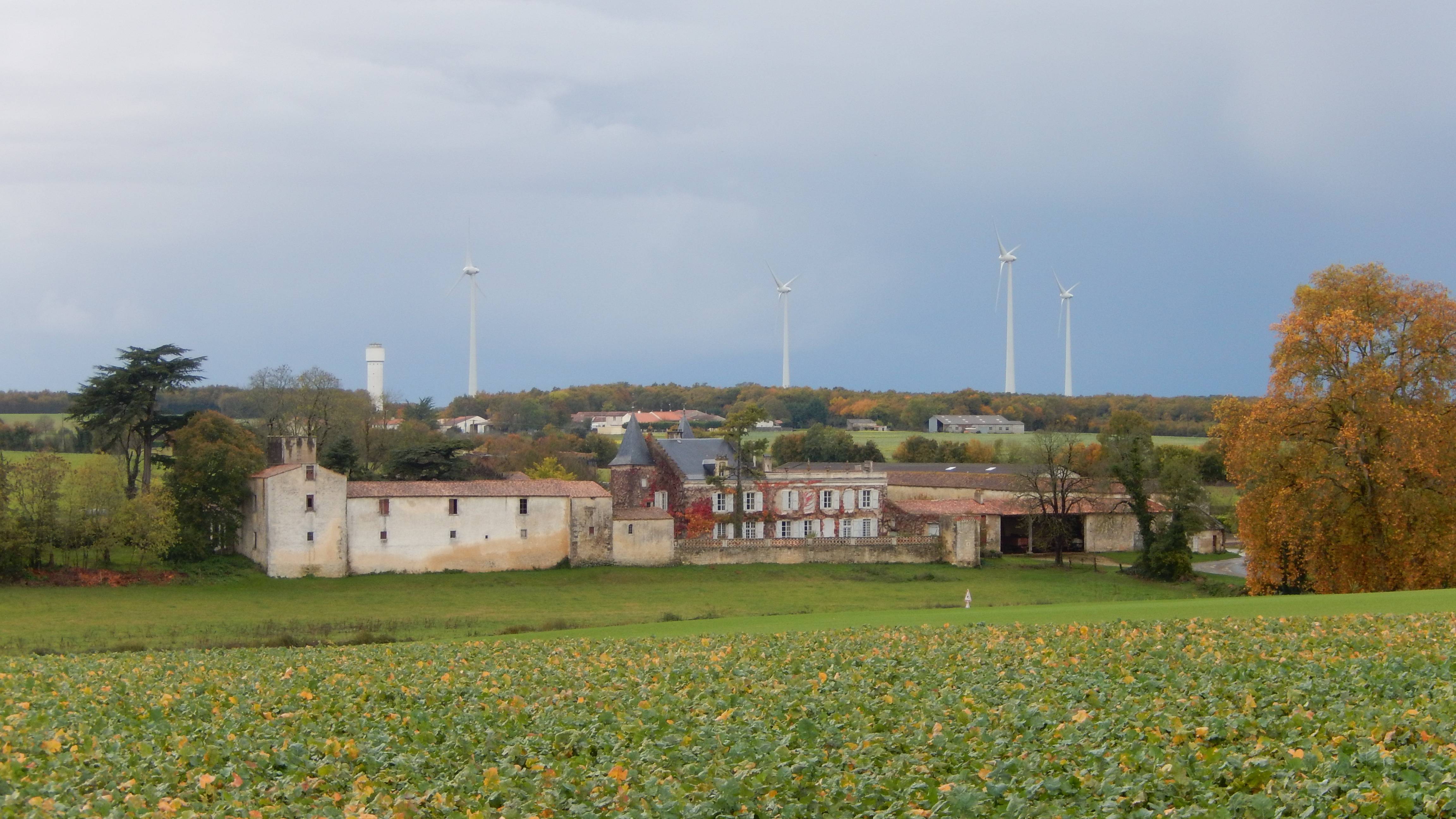 Photo de Castello di Bignay